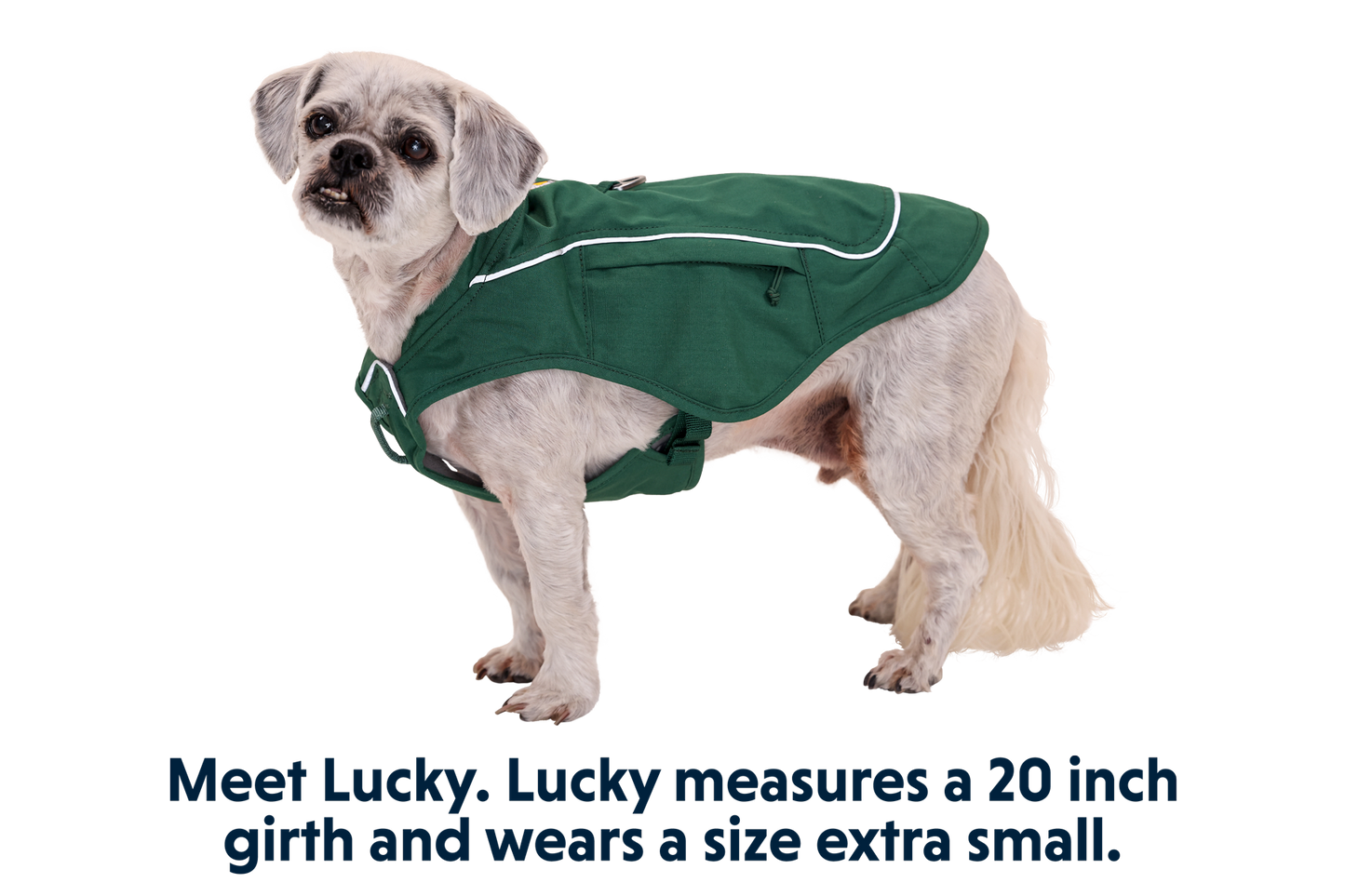 Overcoat Fuse™ Dog Vest