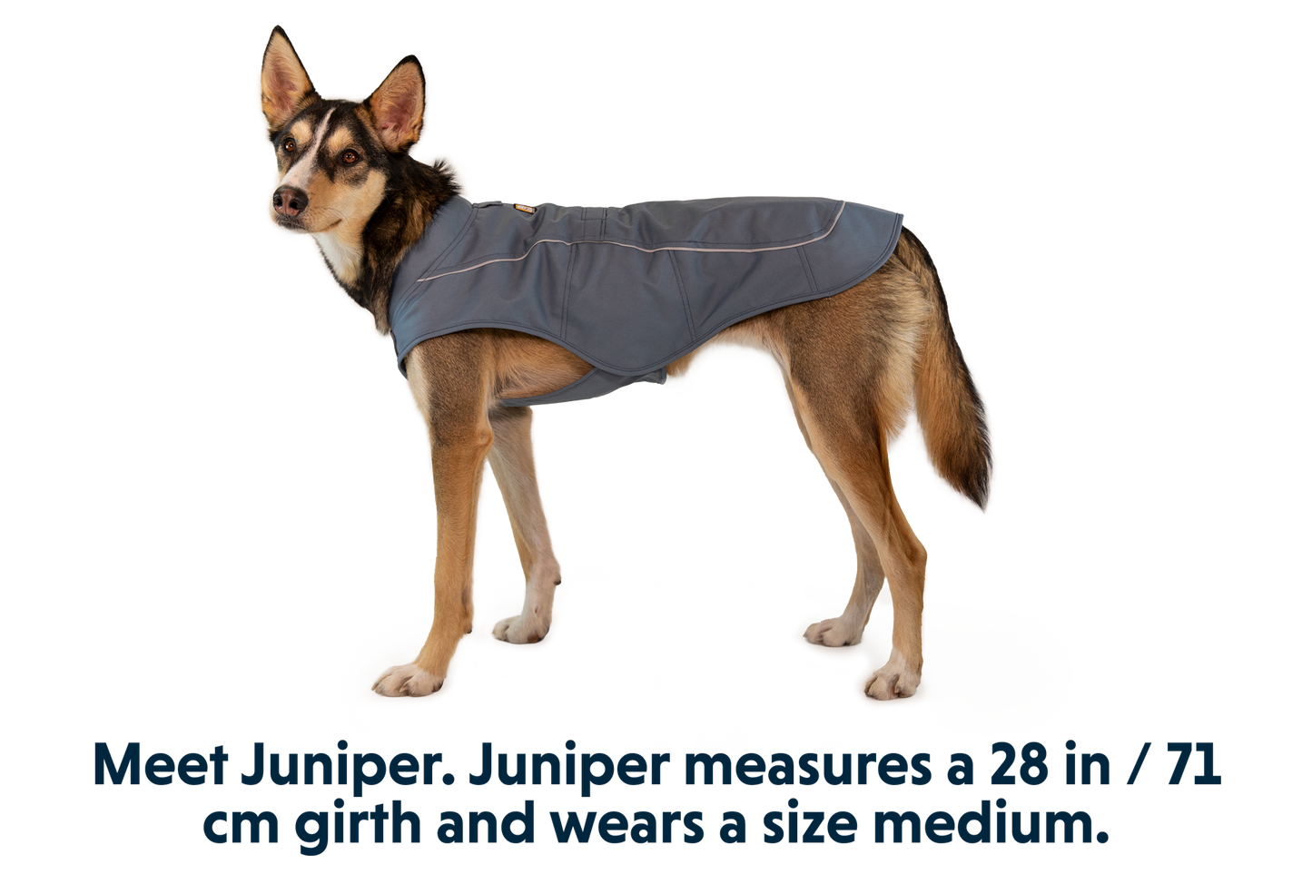 Overcoat™ Dog  Jacket