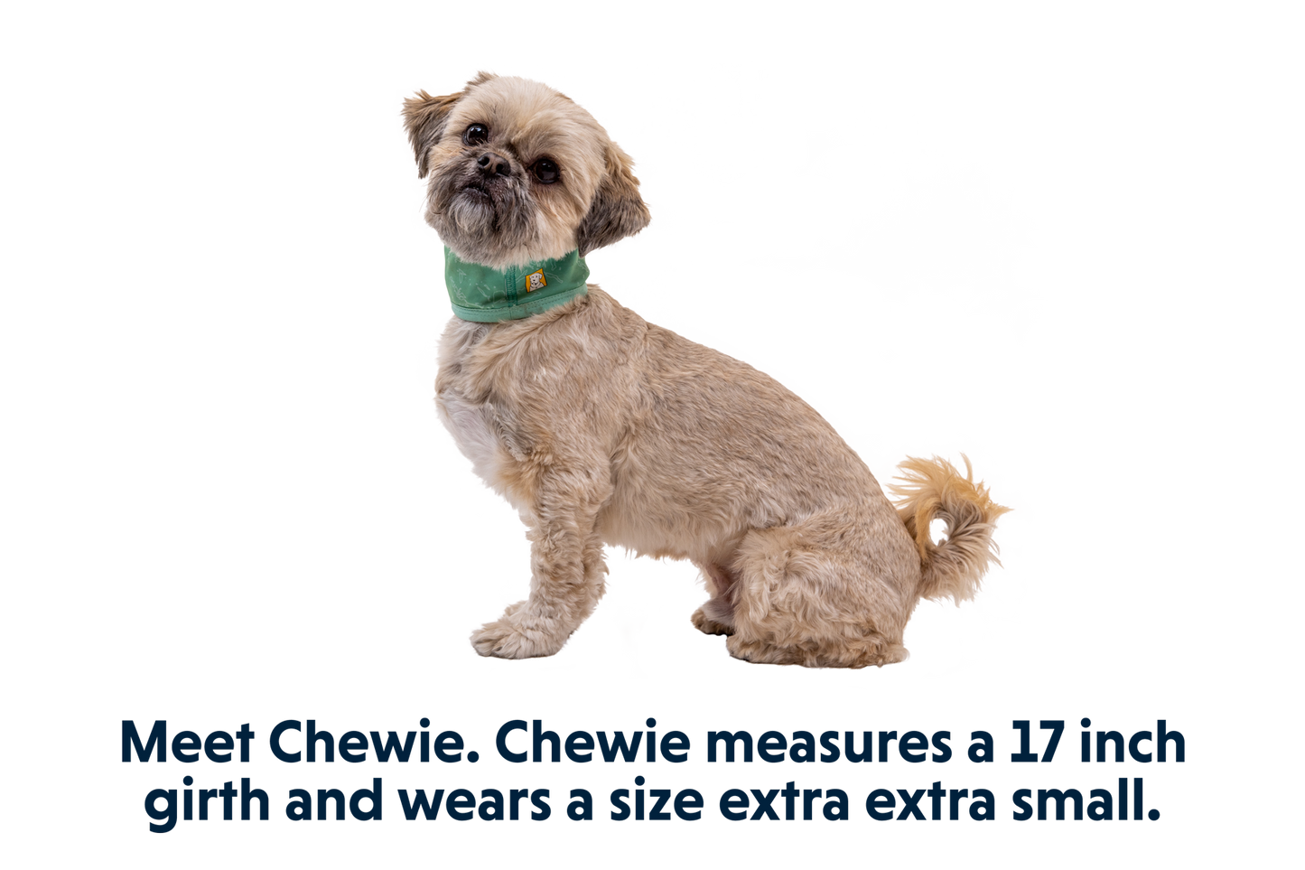 Swamp Cooler™ Neck Gaiter