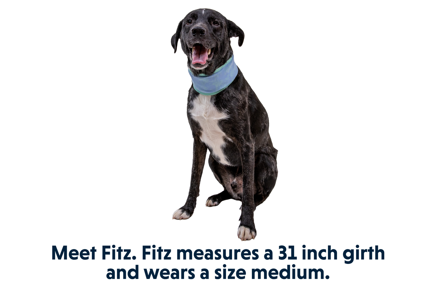 Swamp Cooler™ Neck Gaiter