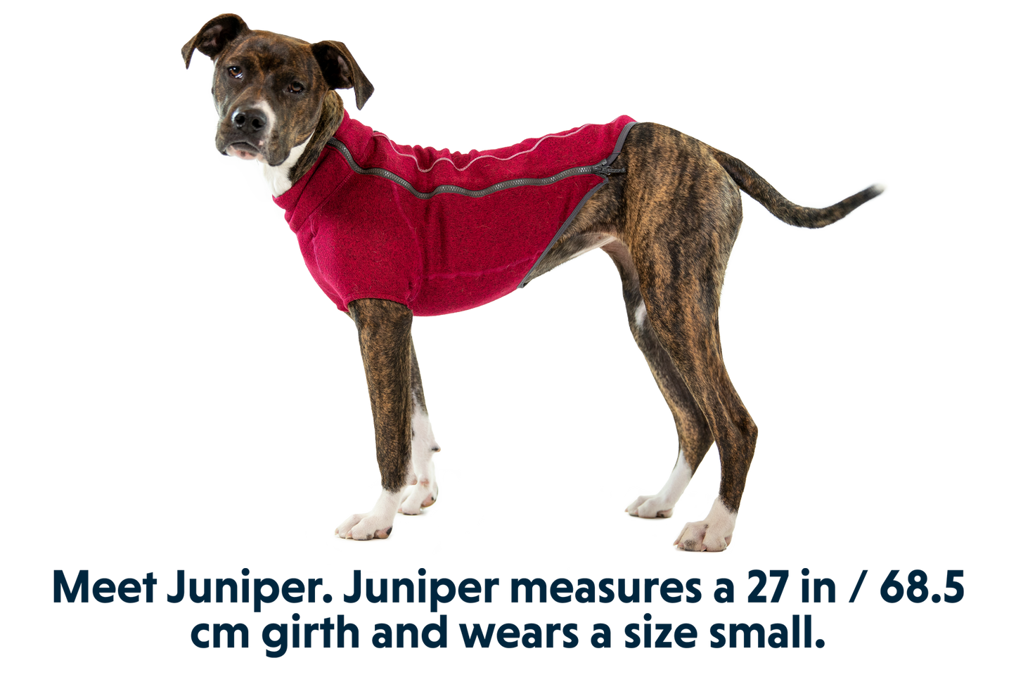 Fernie™ Dog Sweater