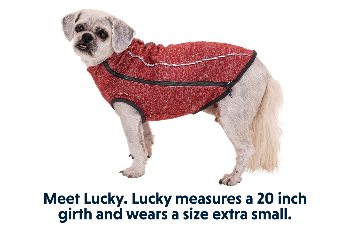 Hemp Hound™ Dog Sweater