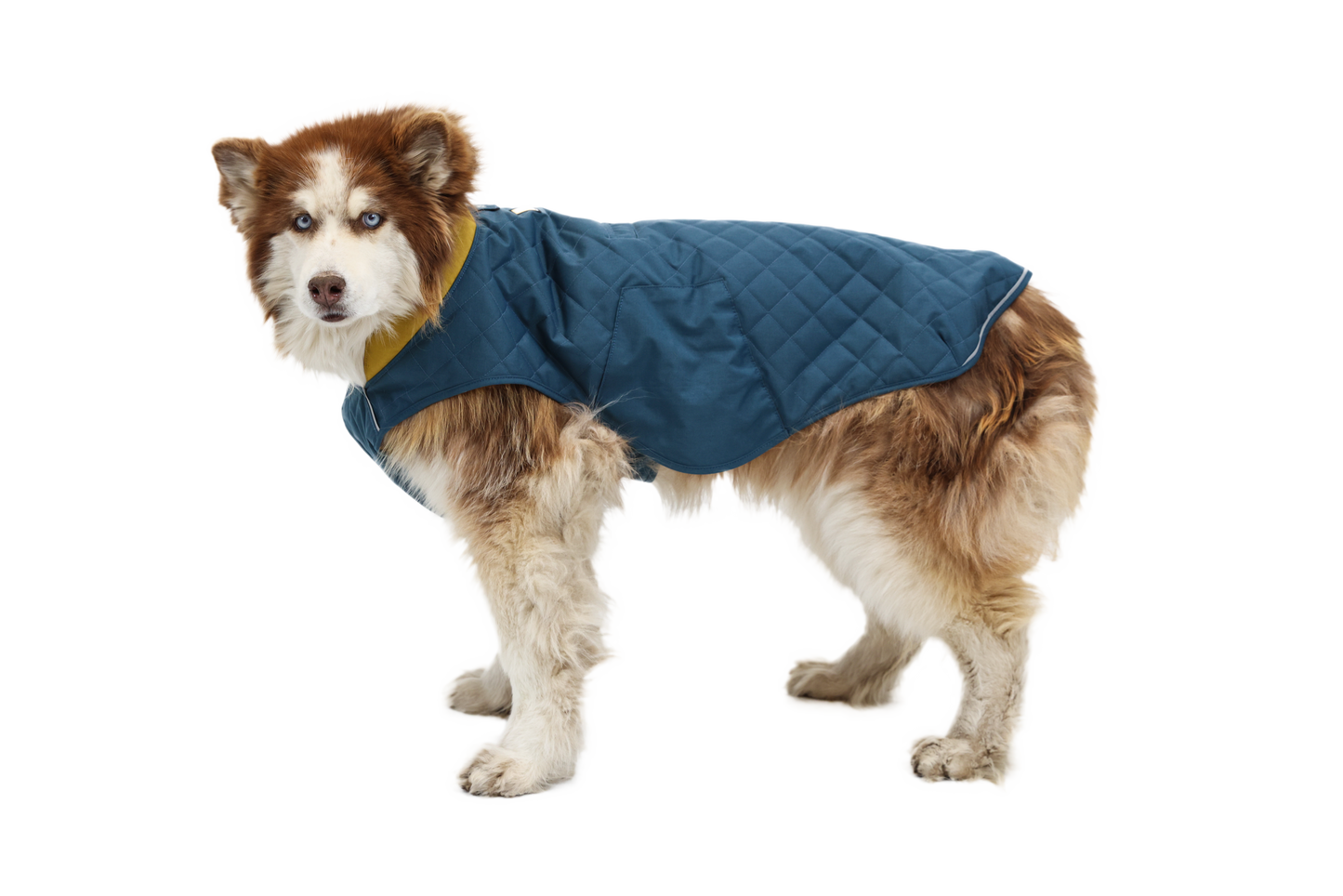 Stumptown™ Quilted Dog Vest