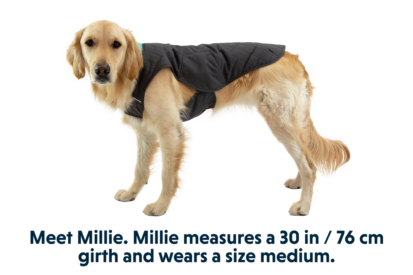 Stumptown™ Quilted Dog Vest
