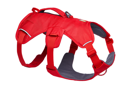 Web Master™ Dog Harness with Handle