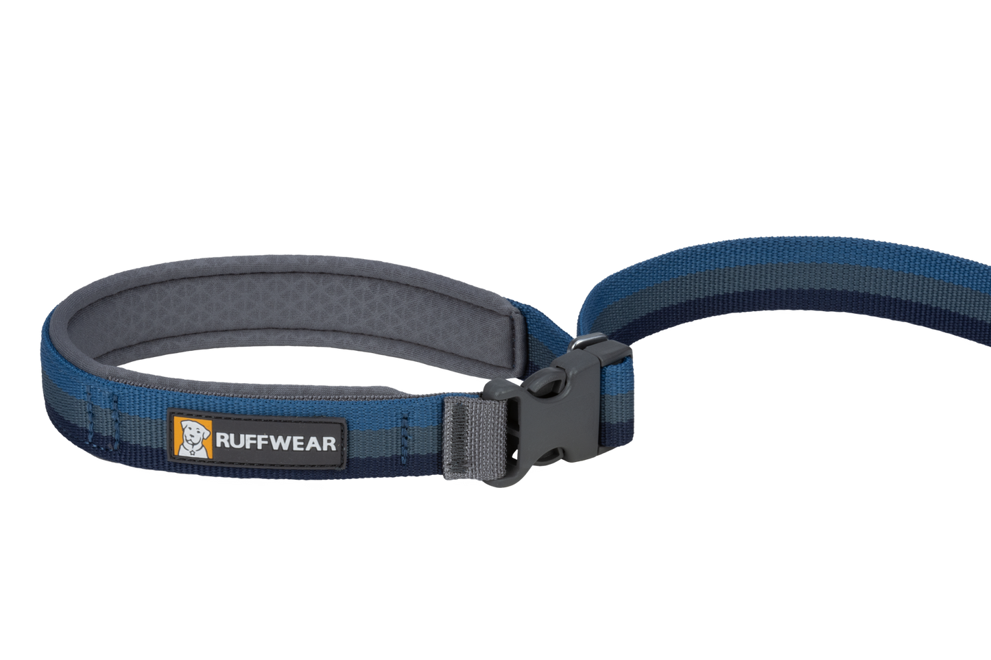Roamer™ Bungee Dog Lead