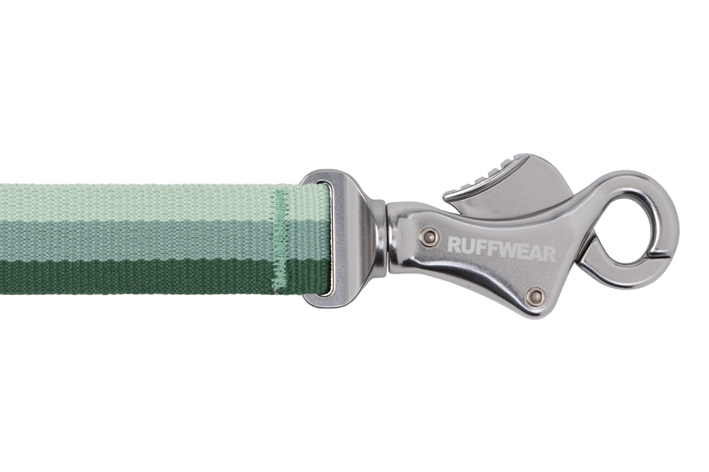 Roamer™ Bungee Dog Lead
