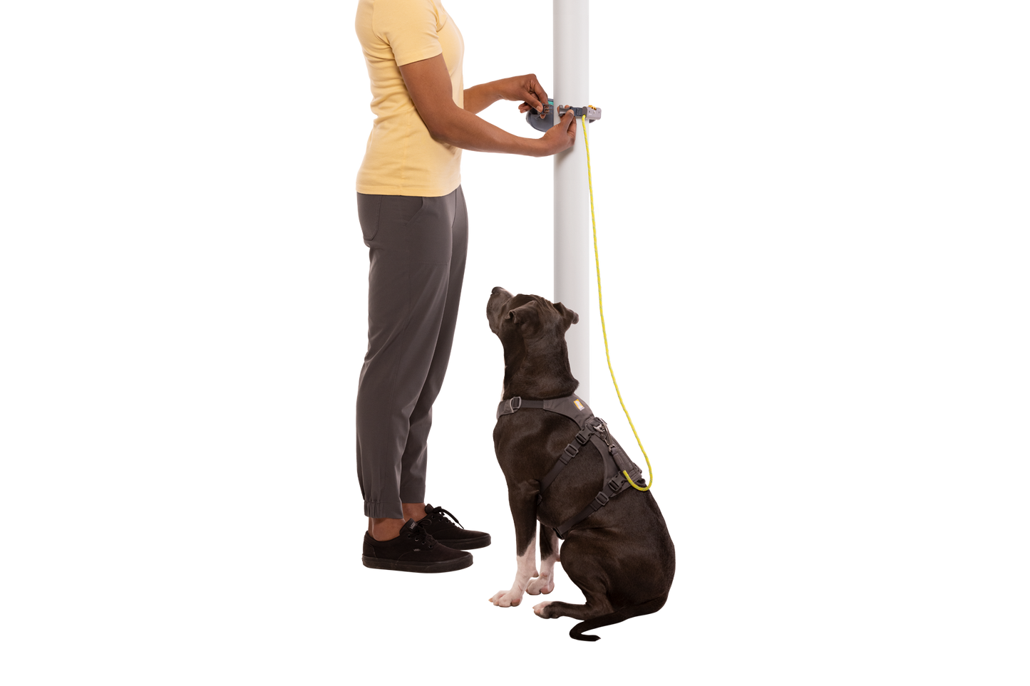 Hitch Hiker™ Leash