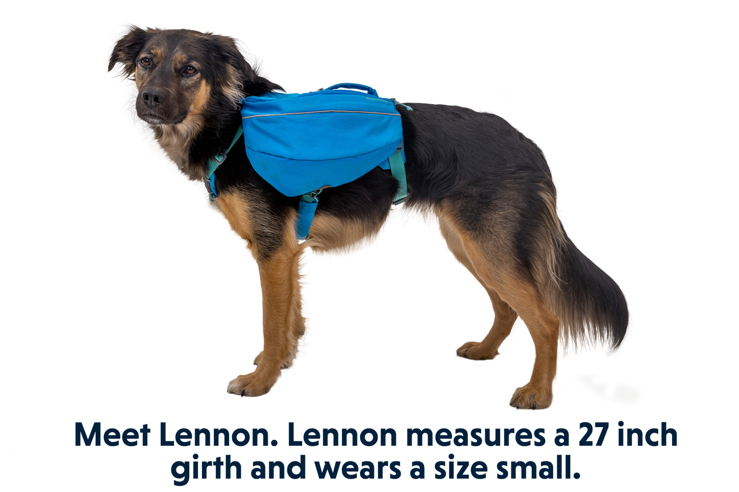 Approach™ Dog Backpack