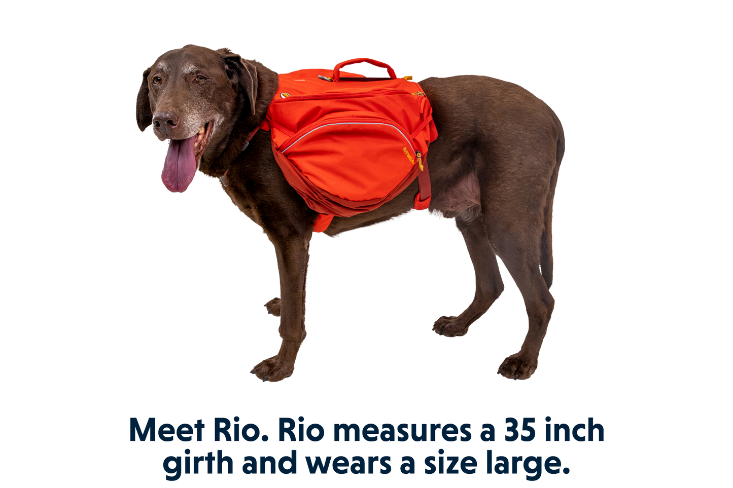 Palisades™ Backpack