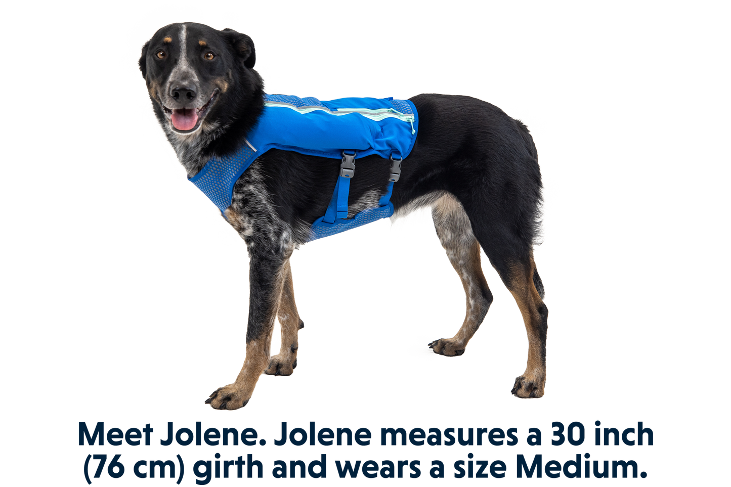 Trail Runner™ Dog Running Vest