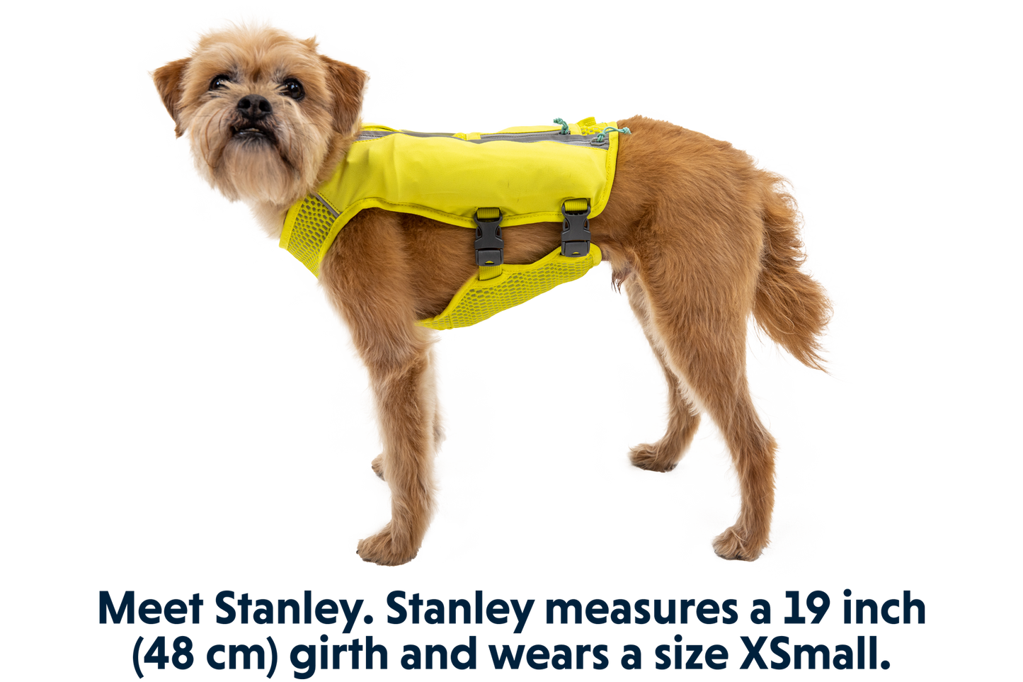 Trail Runner™ Dog Running Vest