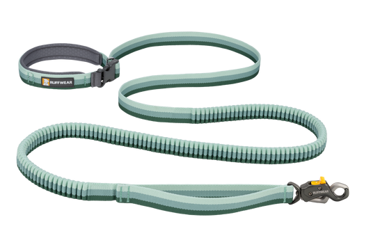 Roamer Lock™ Lead