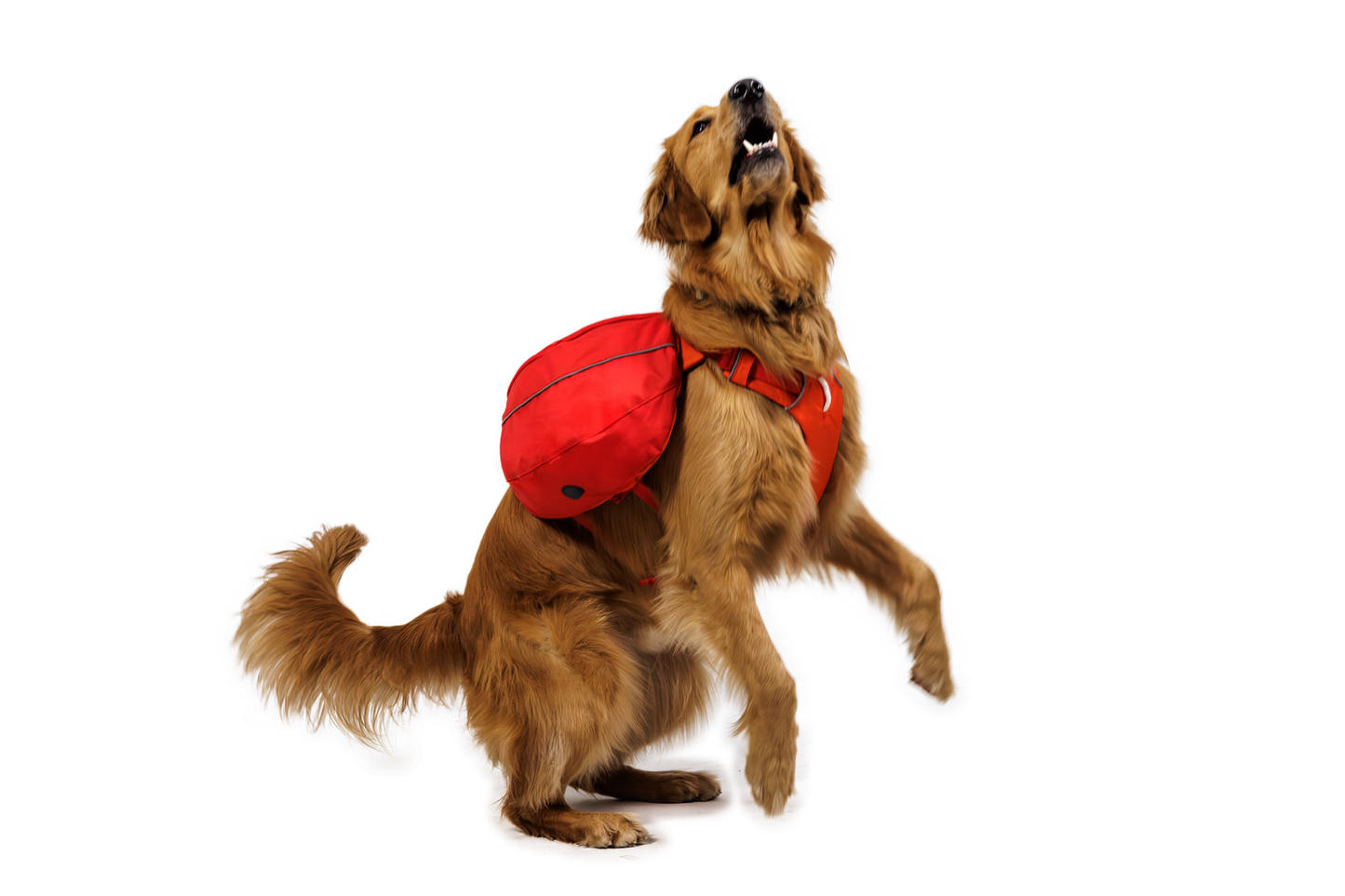Palisades™ Dog Pack