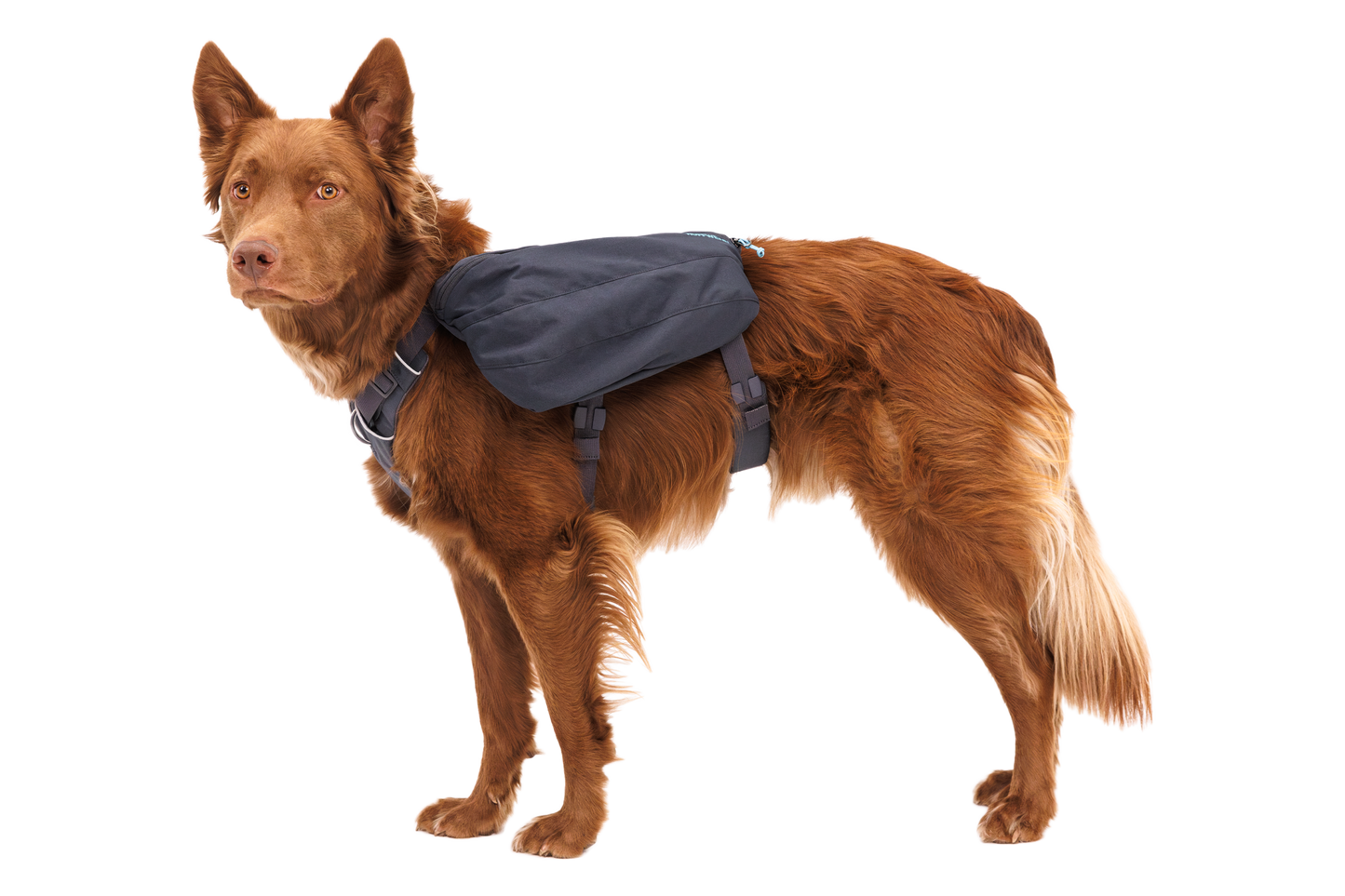 Front Range™ Day Pack